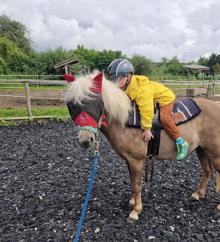 Kleines Kind auf kleinem Pony