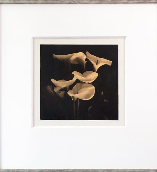 Gold 24 carats and platinum print of a flower, lilies in a mat board passepartout