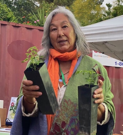 Mariko Gifford holds two moringa seedlings in tall pots
