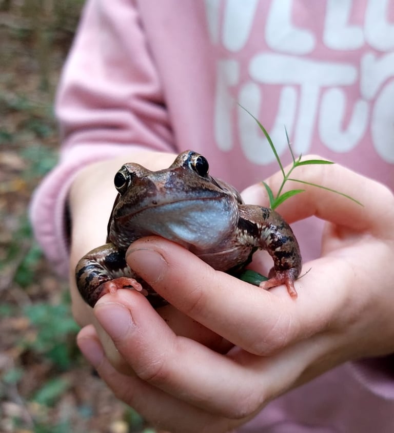 Patyriminis ugdymas susipažįstant su mus supančiais gyvūnais
