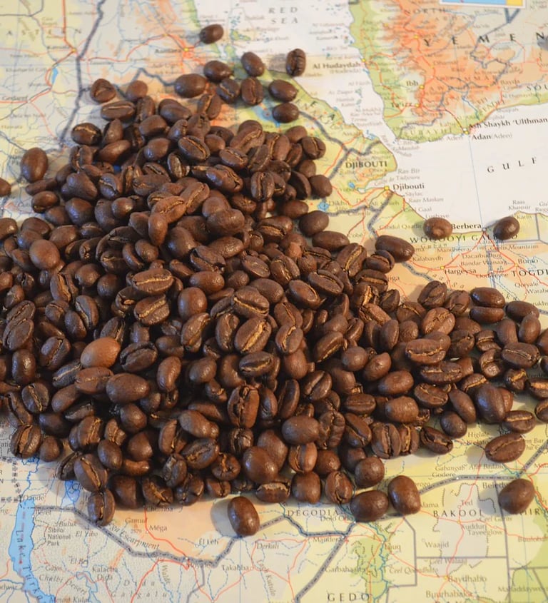 a map of a country of Ethiopia beans poured in