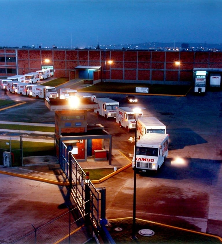 Bimbo, Imagen para estrategia de marca, celebración del 50 Aniversario Bimbo,