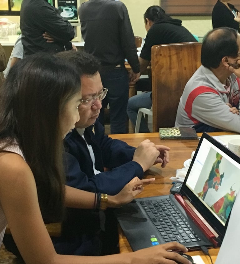 Urban Planning Consultancy - GIS