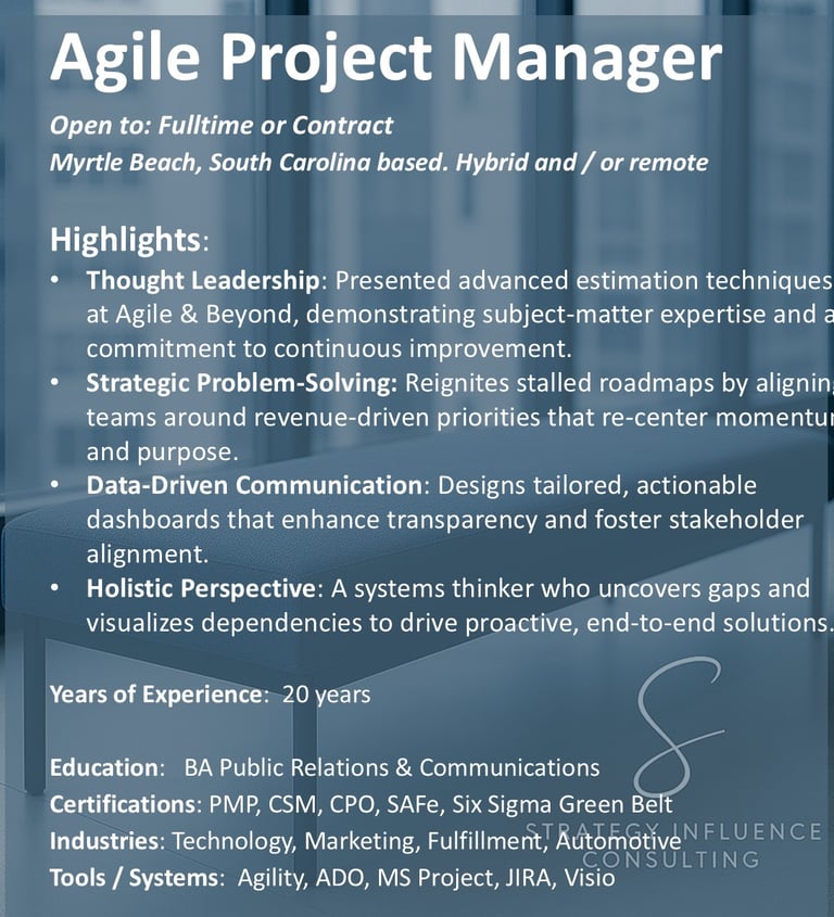Agile Project Manager for hire