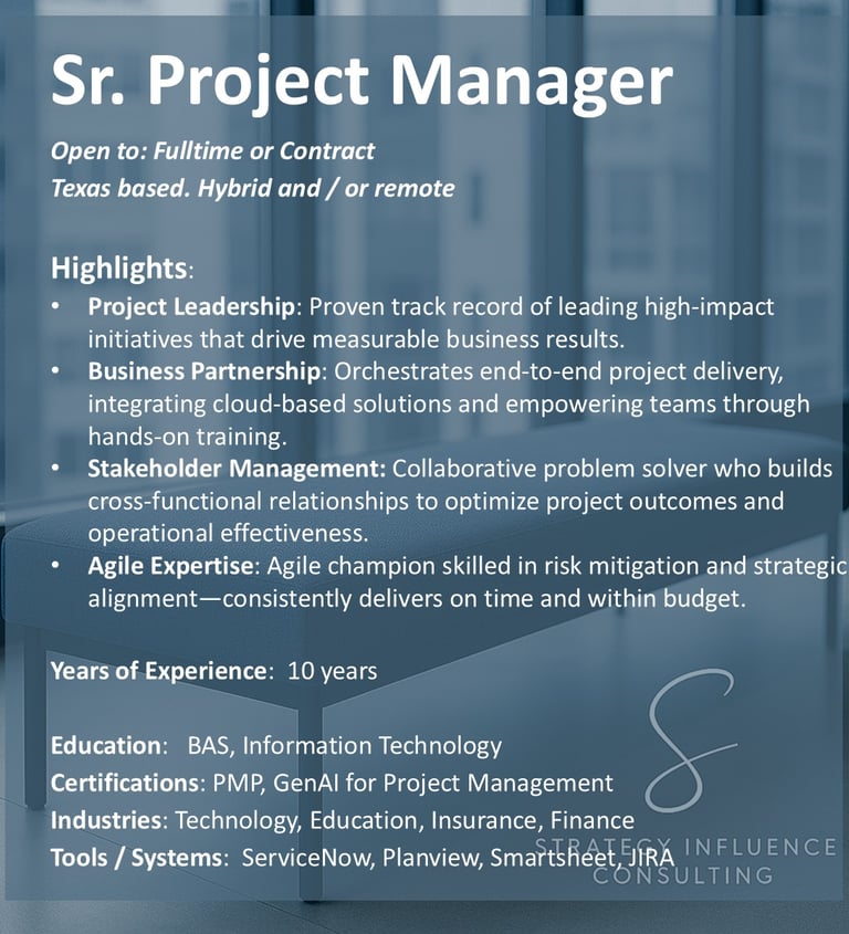 Sr. Project Manager for hire