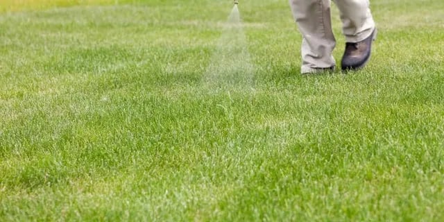 TLC Upstate Weed Control