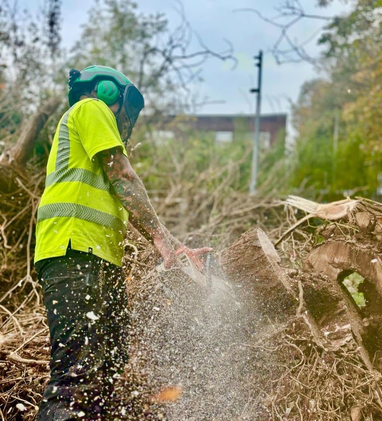 chainsaw cutting a tree