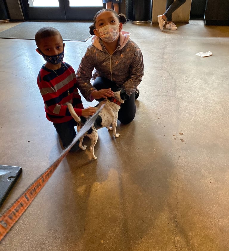 Dog gone good day in San Antonio Texas