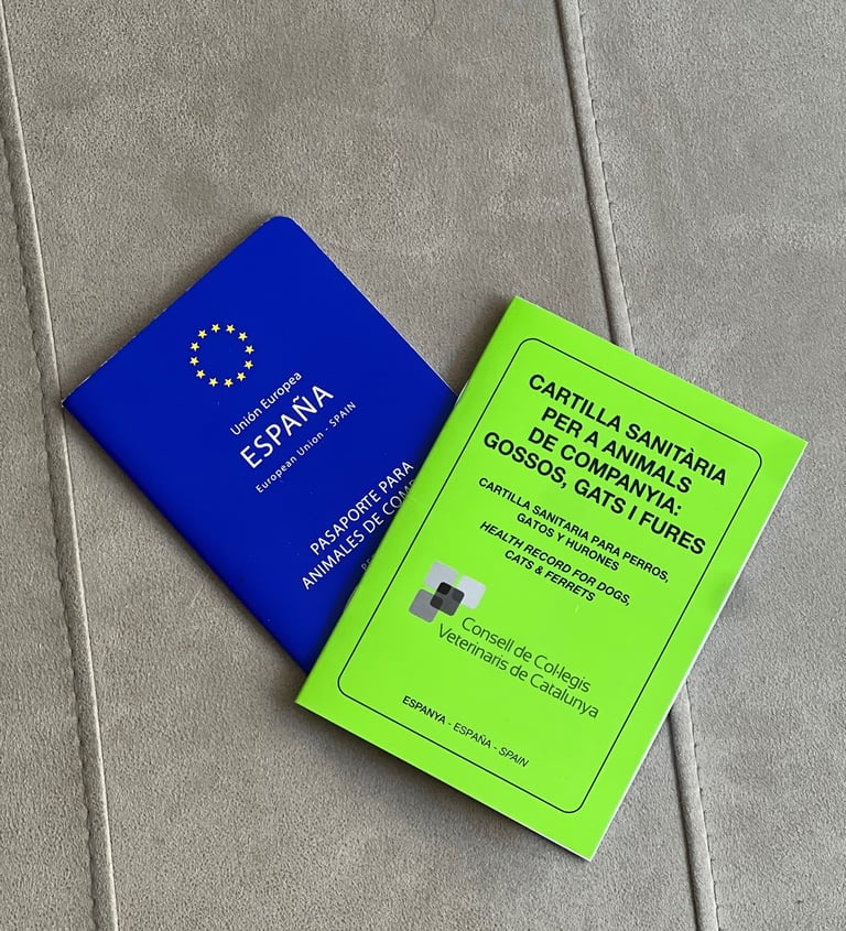 Microchip y pasaporte para perros y gatos a domicilio