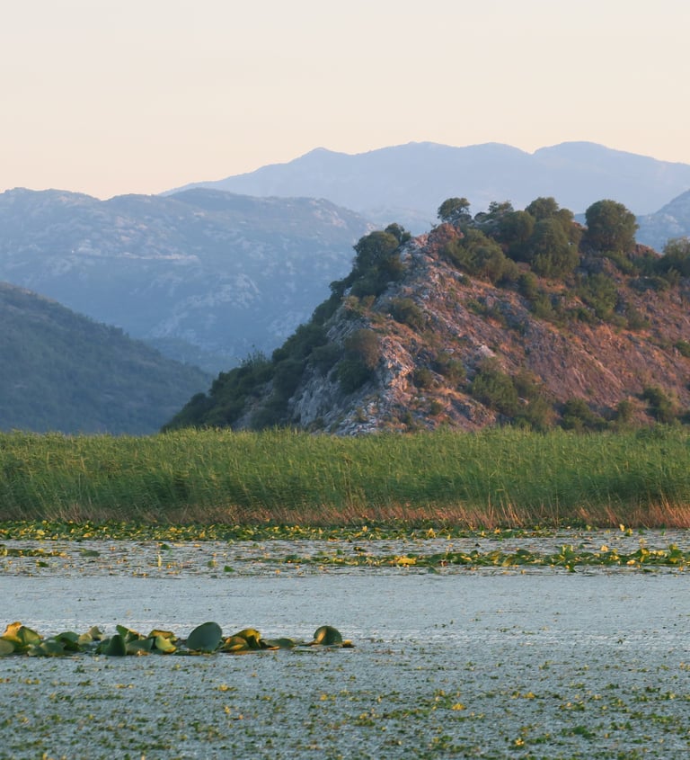 Scenic landscape of Lake Skadar featuring water lilies, lush reeds, and misty blue mountains at sunset.