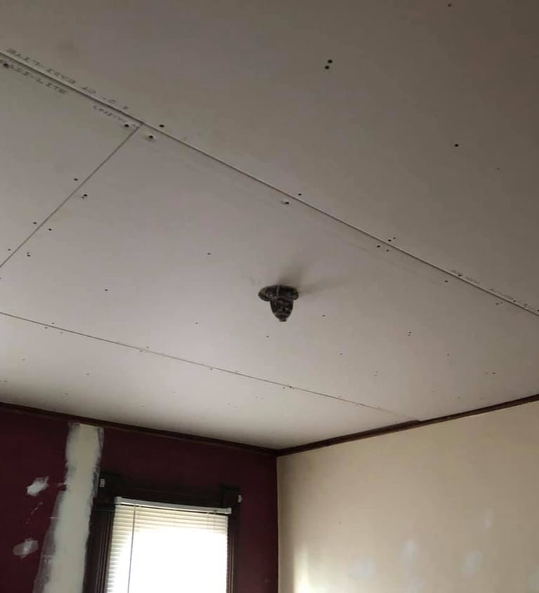 new drywall hung on ceiling of home with wood trim