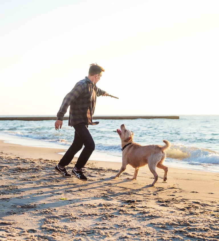 Reliable pet sitting and dog walking on the beach in Lynnwood, Bothell Everett, and Mukilteo