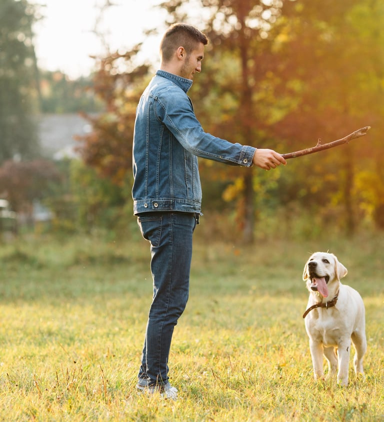 Reliable pet sitting and dog walking, sitting and playing in Lynnwood, Bothell Everett, and Mukilteo