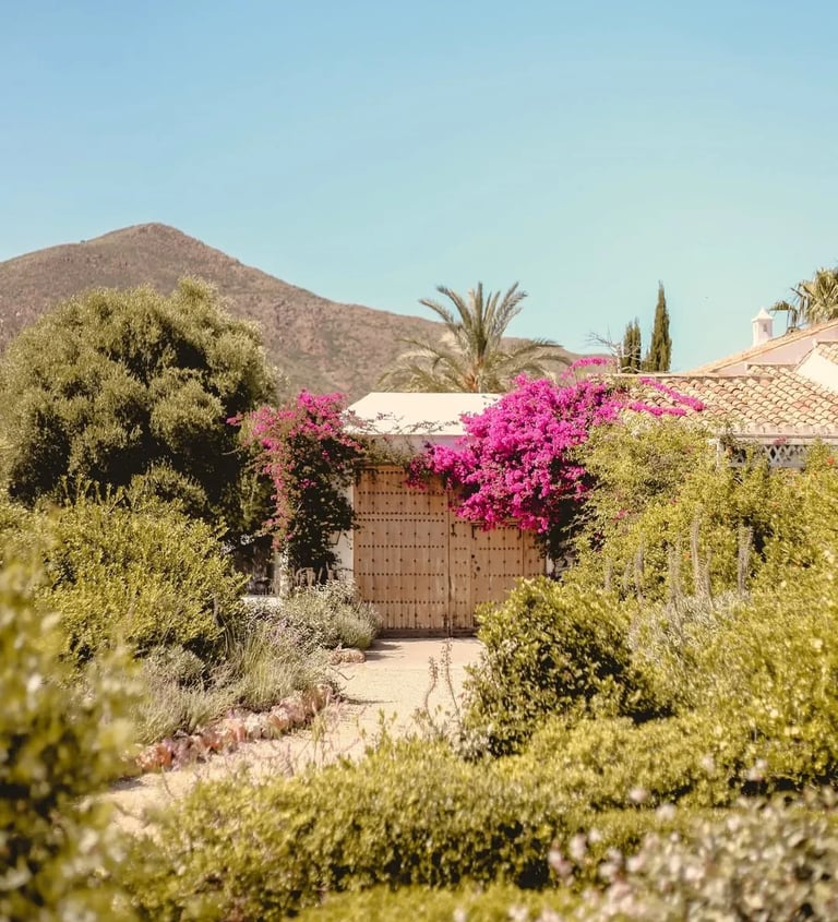 Garden entrance with wooden gates, bougainvillea and mountain backdrop