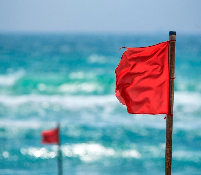 a red flag on a beach with a red flag