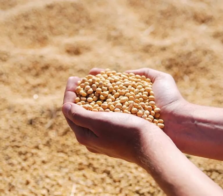 commodities