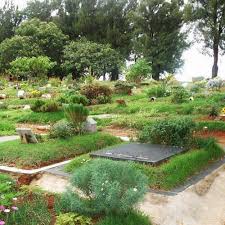 Imagem mostra setor interno do cemiterio itaquera velar em sao paulo