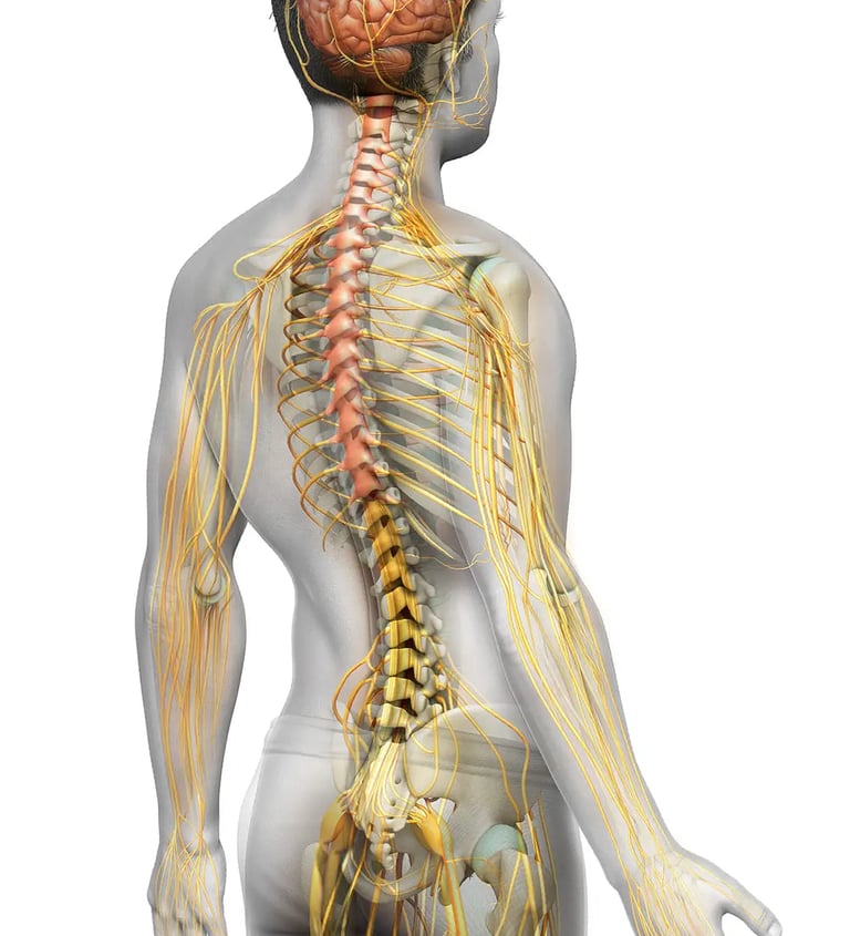 Quiropráctico en Mérida - Chiropractor in Mérida - Freedom Quiropráctica Mérida - Arturo Quiroz