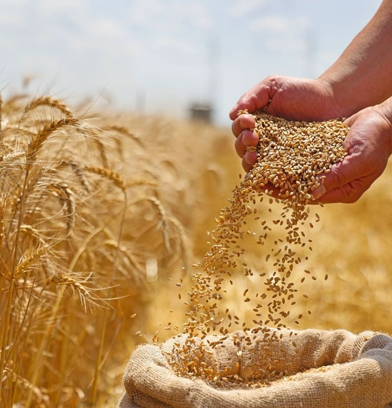 Dron za poljoprivredu – optimalno prskanje, praćenje i zaštita usjeva