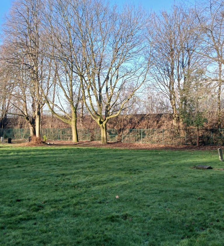 The area where Arthur Speight is buried.