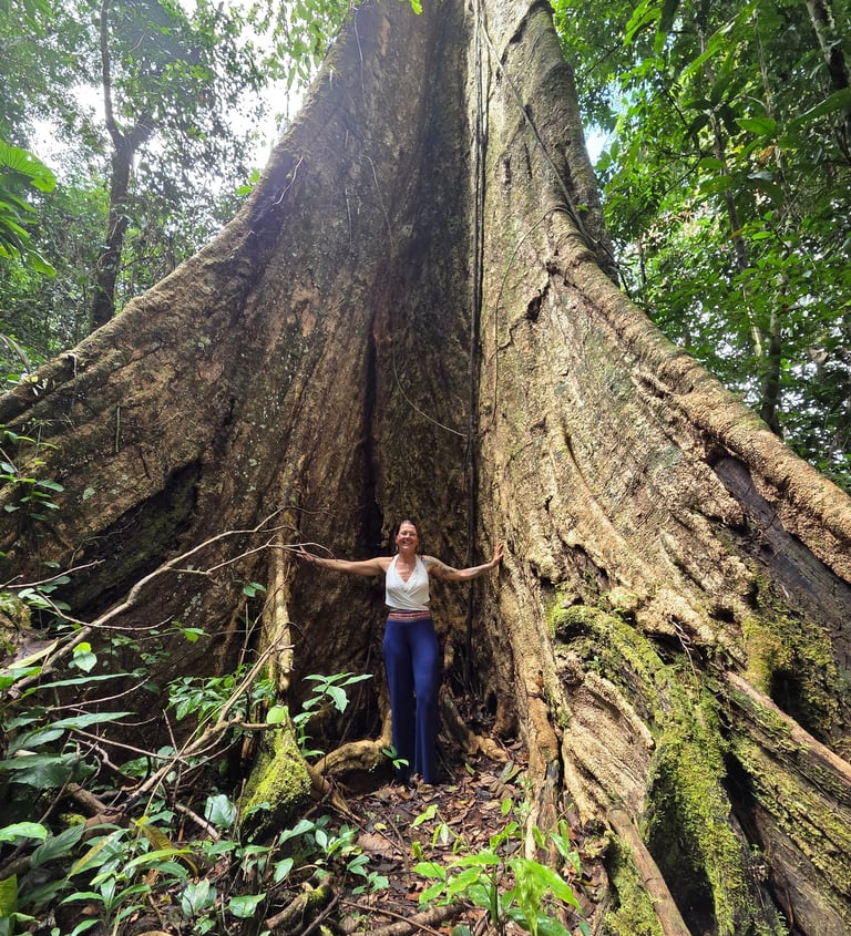 Shihuahuaco Baum des Lebens Amazonas