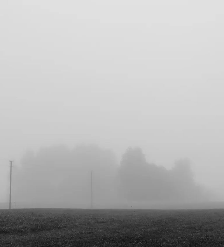 A misty field captured in a black and white photograph