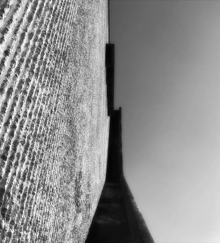 Brick wall captured in black and white