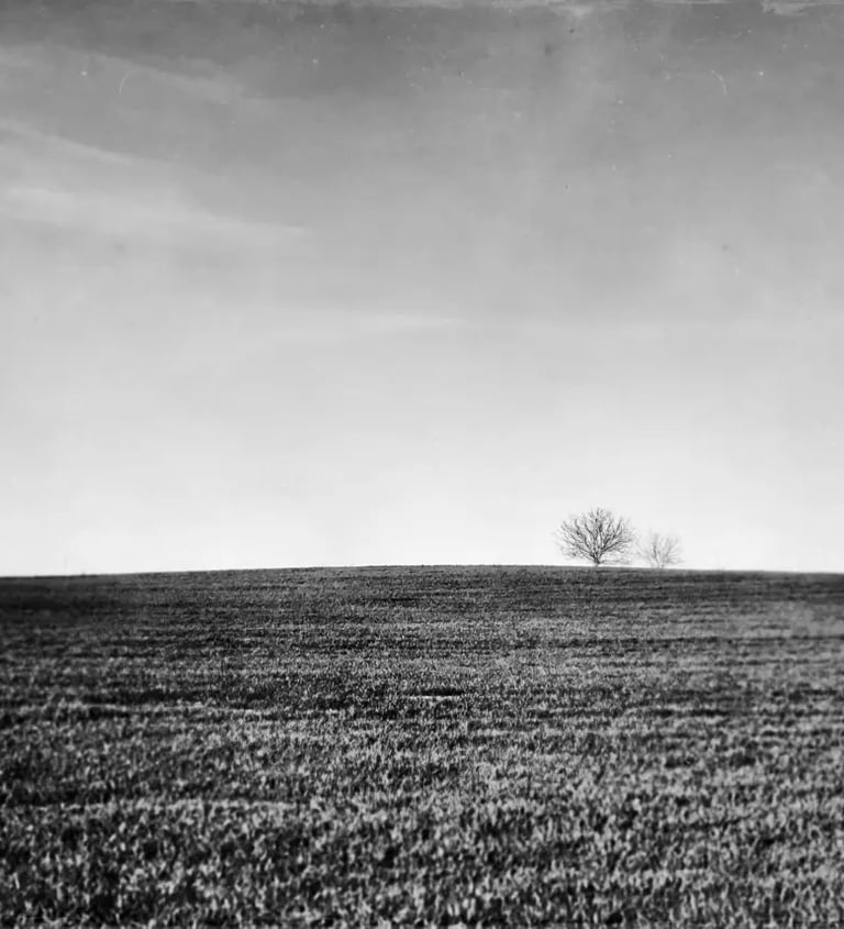 A black and white image of a solitary tree in a vast, open field