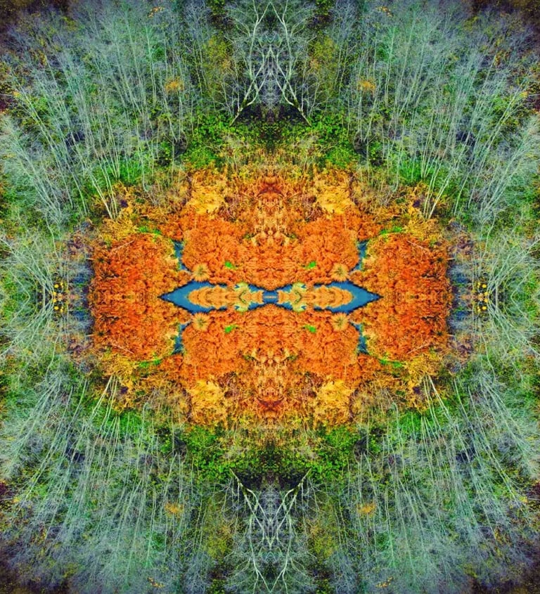 Tree with abstract foliage design