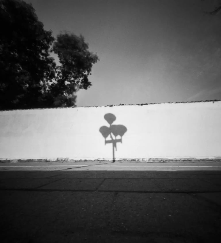 Black and white photo of street lamp silhouette