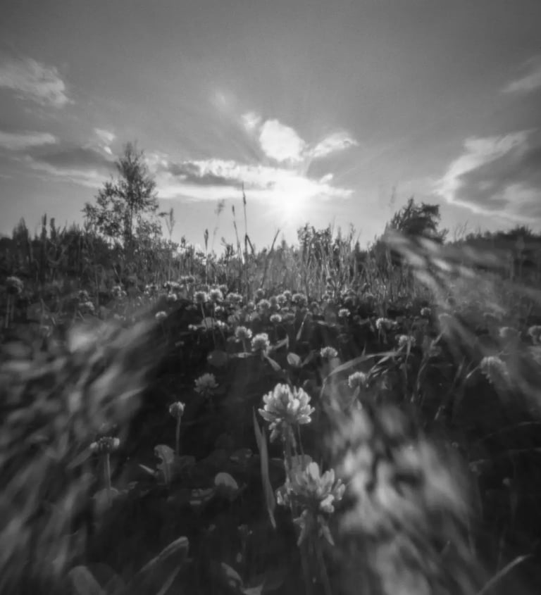Black and white photo of flowers in the grass