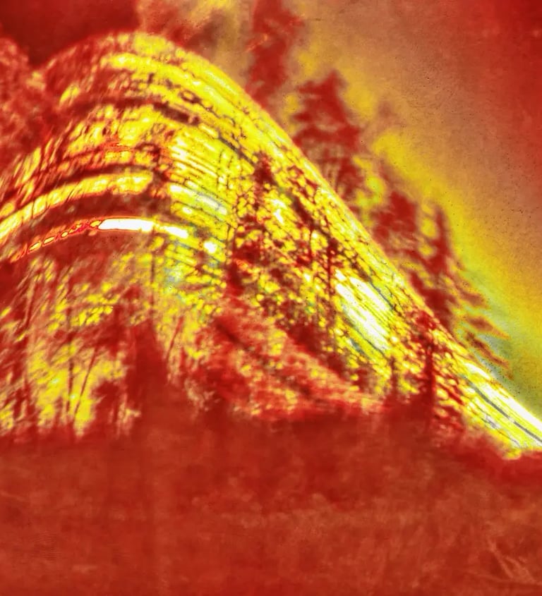 A vibrant wood with red and yellow hues, standing against a backdrop of changing sun paths over six months