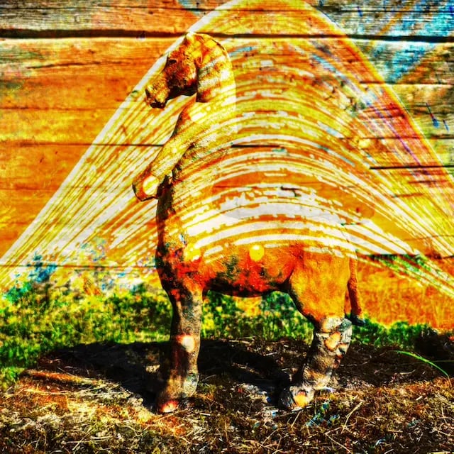 Artistic double exposure of a horse in front of a wooden wall, combined with a Centaurus statue and six months of sunlight.