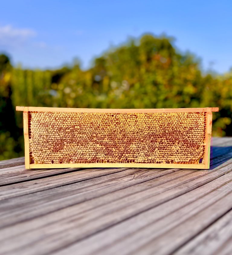 Žolynų medus koryje – poliflorinis, visiškai natūralus lietuviškas medus, surinktas iš laukinių pievų augalų, žiedų.