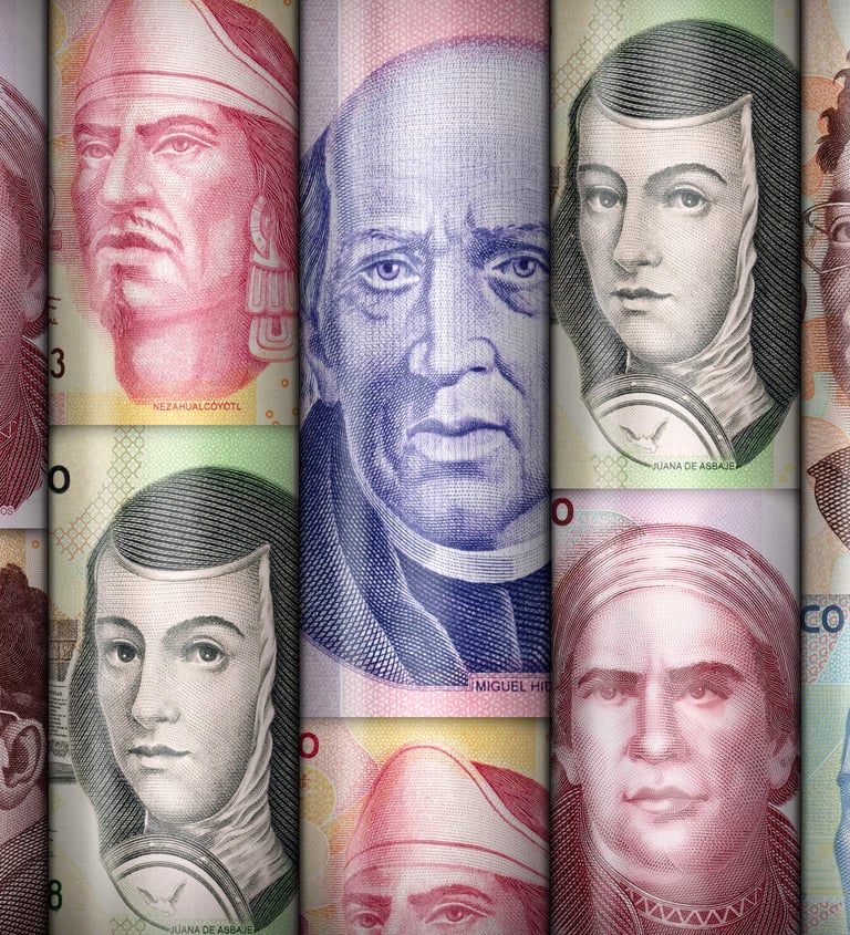 a series of five different types of mexican money bills