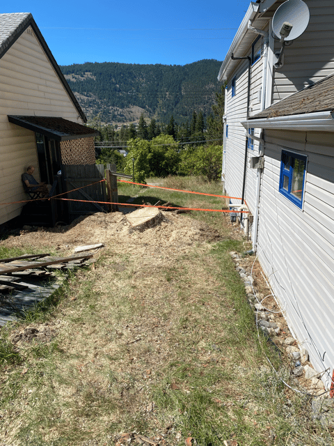 Hazard tree removal Chase