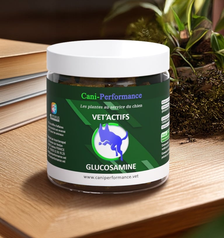 Vet'Actifs