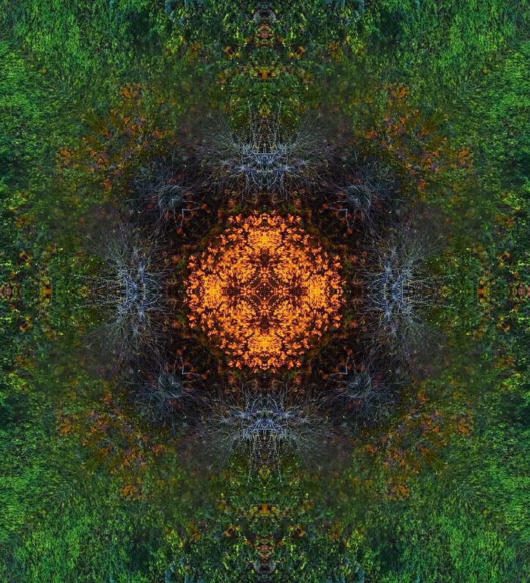 Colorful abstract tree image with swirling green and orange tones, emphasizing artistic expression and nature's beauty