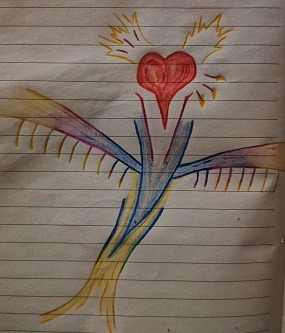 colour pencil on paper, heart phoenix 