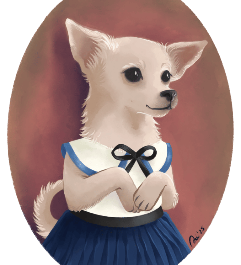 perrita chichuahua beige con uniforme escolar azul y blanco