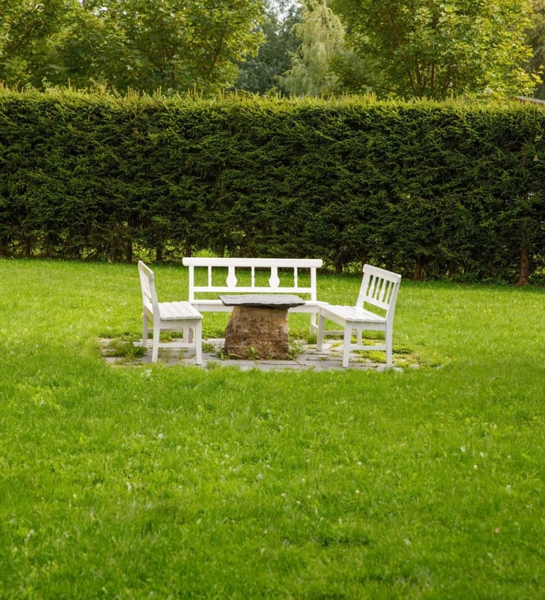 A garden lawn with a table and chairs set in the center, backed by tall, dense bushes forming a natu