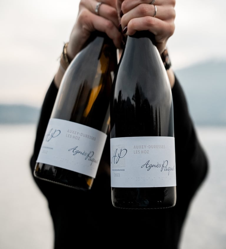 sélection de vins rares et millésimes a Annecy