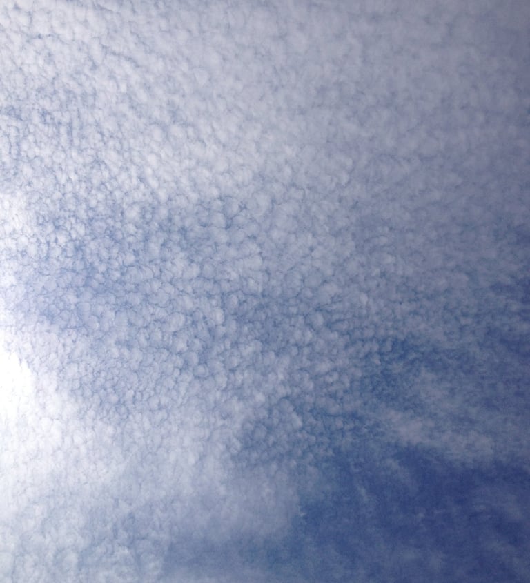 cielo
