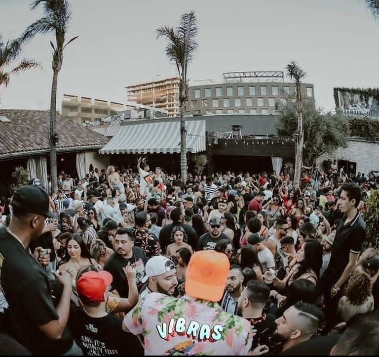 Large crowd at nightclub in with palm trees