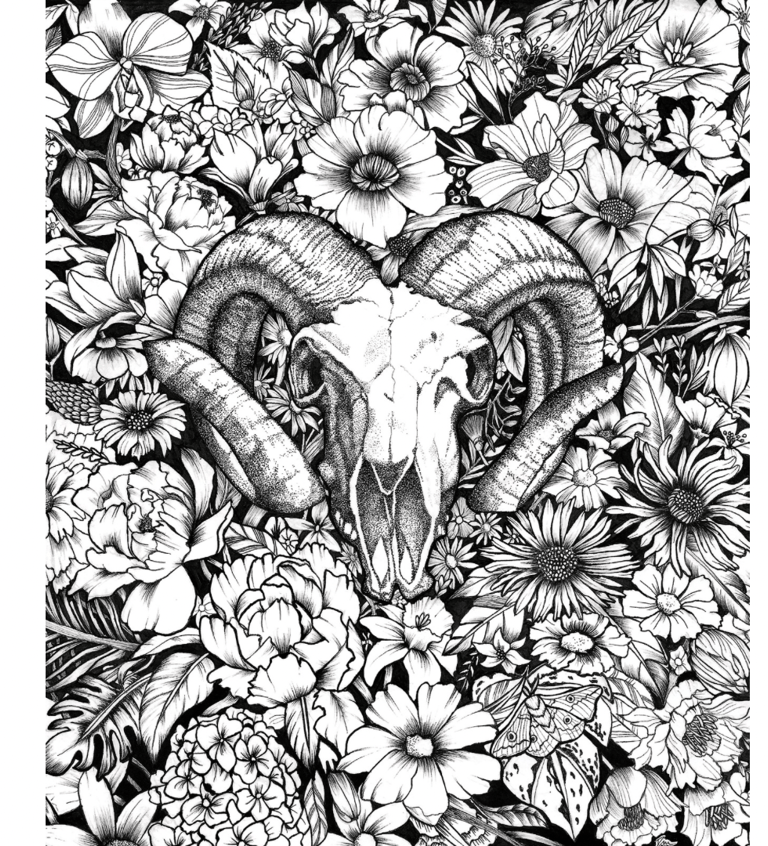Un dessin en noir et blanc représentant des fleurs et un crâne de bélier 