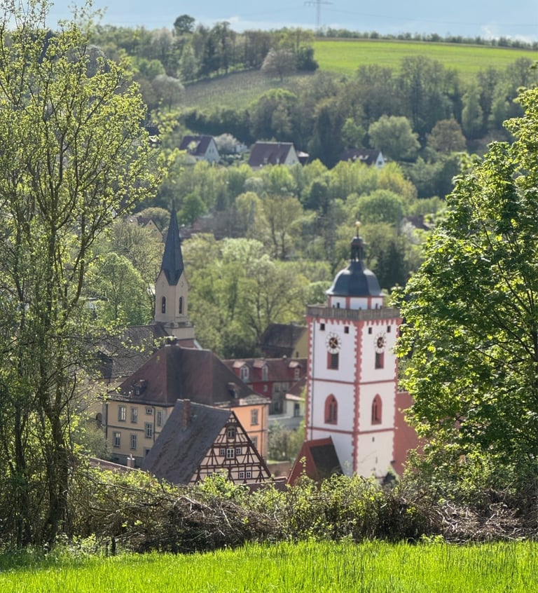 Aussicht vom eigenen Weinberg auf die Altstadt