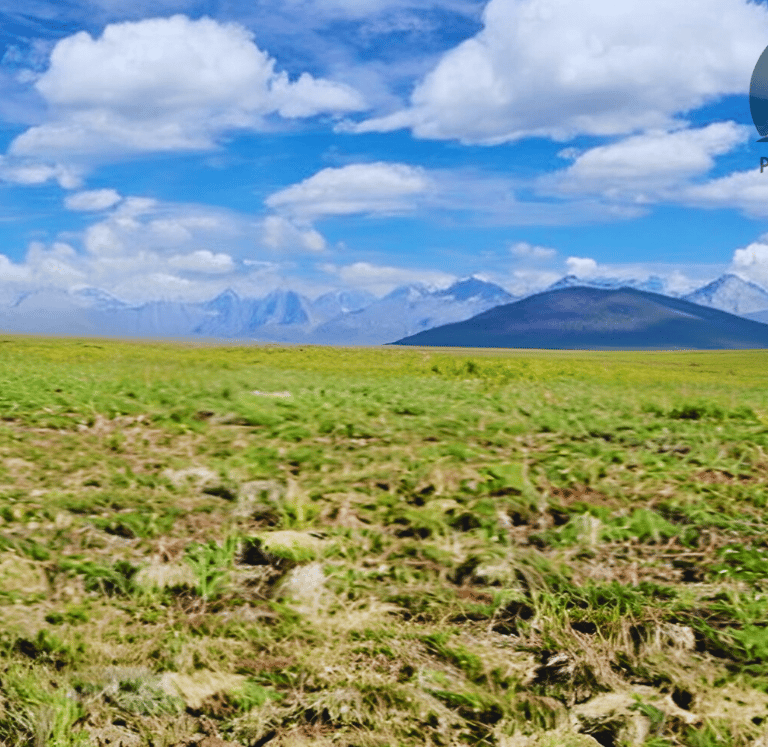 Deosai meadow with a mountain in the background