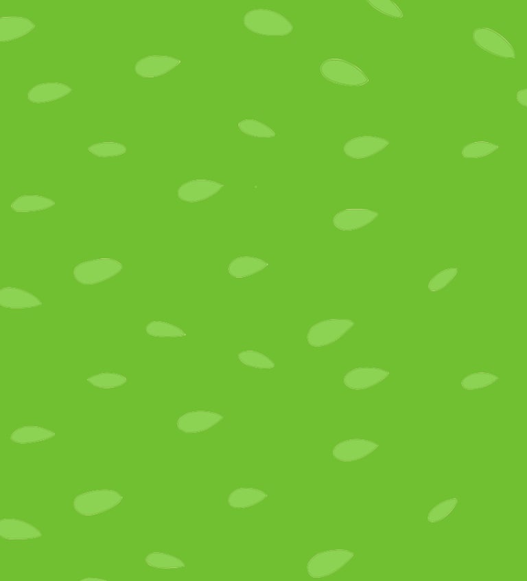 Pattern Jideria