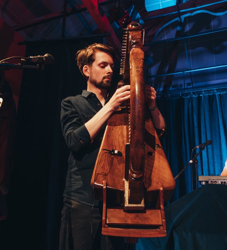 Mikaël Herrou, harpiste de Herriwenn, groupe de musique bretonne électro