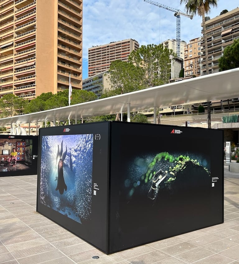 PA2F environmental photographer of the year 2023